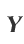 Y